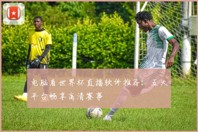 电脑看世界杯直播软件推荐:五大平台畅享高清赛事