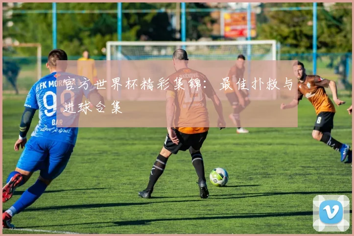 官方世界杯精彩集锦：最佳扑救与进球合集