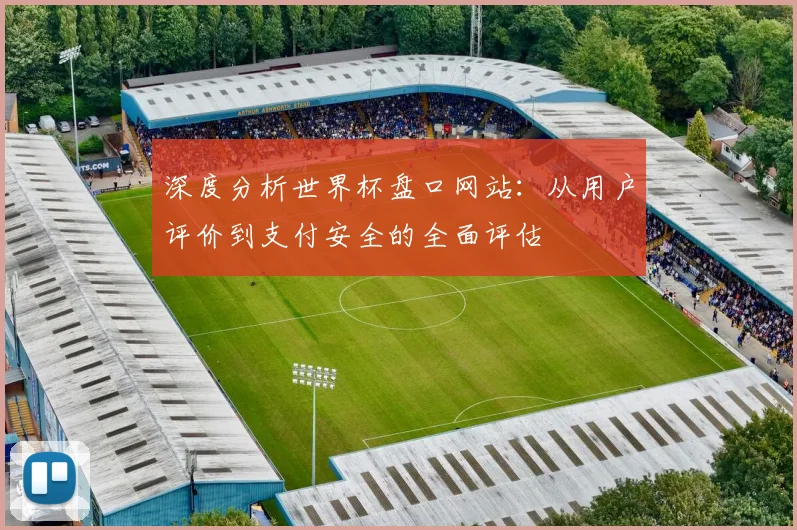 深度分析世界杯盘口网站：从用户评价到支付安全的全面评估