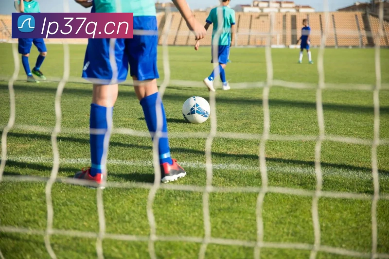 云开体育在线登陆平台生态图